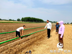确山县双河镇：全力以赴抗旱保秋
