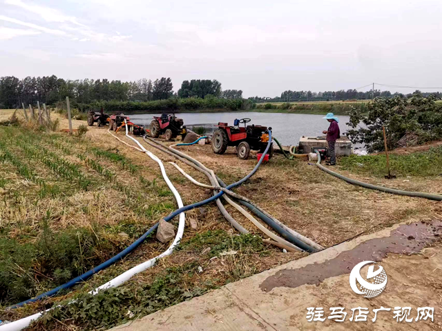 确山县双河镇：多种举措抗旱保秋