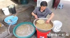 长寿之乡的美食故事——相信坚持的力量