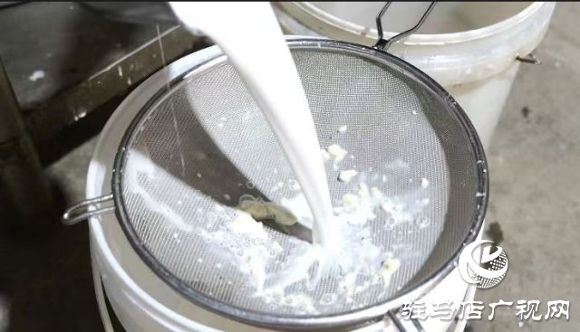 长寿之乡的美食故事——春会的凉皮情