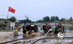 泌阳县下碑寺乡：党群合力抗旱 千亩农田“止渴”