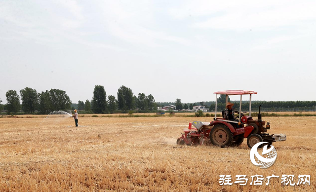 驿城区：抢抓农时 全面抗旱抢种保丰收