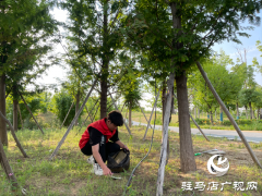 驻马店职业技术学院组织志愿者走进人民公园清捡垃圾