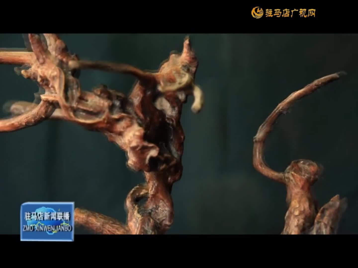 【厚重天中】张楼根雕