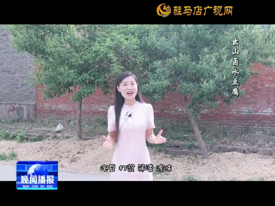 【吃在天中】西平出山卤水豆腐