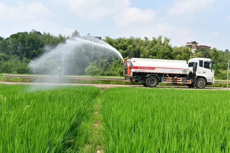 河南启动水旱灾害防御（抗旱）Ⅳ级应急响应 抗旱抢种保苗是关键