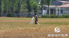 有望实施人工增雨作业 驻马店干旱将得到缓解