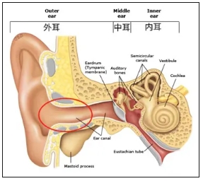 微信截图_20240613093602.png