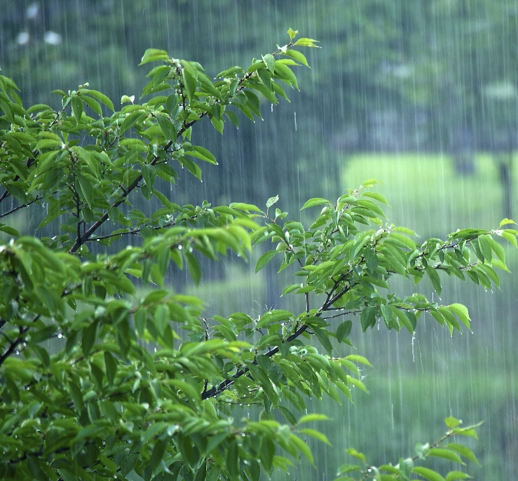 驻马店何时人工降雨？市气象局最新回应