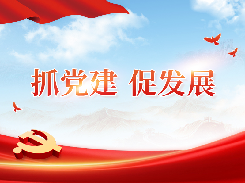 抓党建 促发展