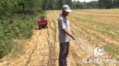 遂平县：中小型水库及时开闸放水保夏种