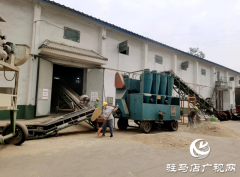 平舆：夏粮收购全面展开 农民卖粮积极踊跃