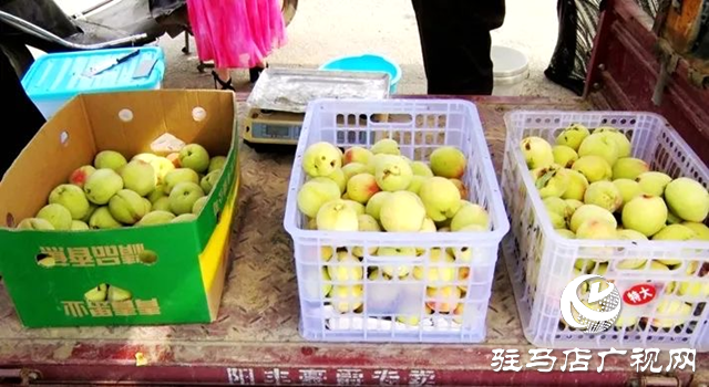 遂平县：齐心协力 助农卖桃