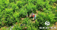 出彩新农人||李彬：返乡创业打造“花果山”助农增收