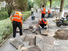 驻马店经济开发区开展夏季市政道路养护