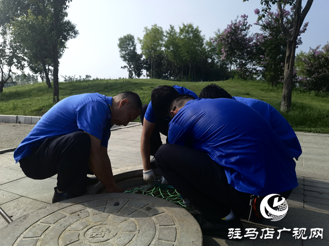 确山县：用汗水擦亮城市之美
