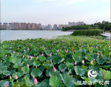 驻马店市人民公园：环境美如画 市民欢乐多