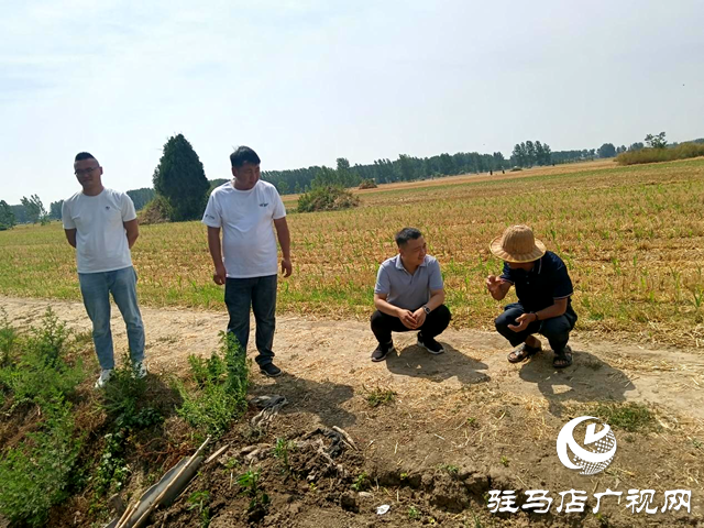 平舆县司法局：耕地占路引纠纷 田间调解促和谐