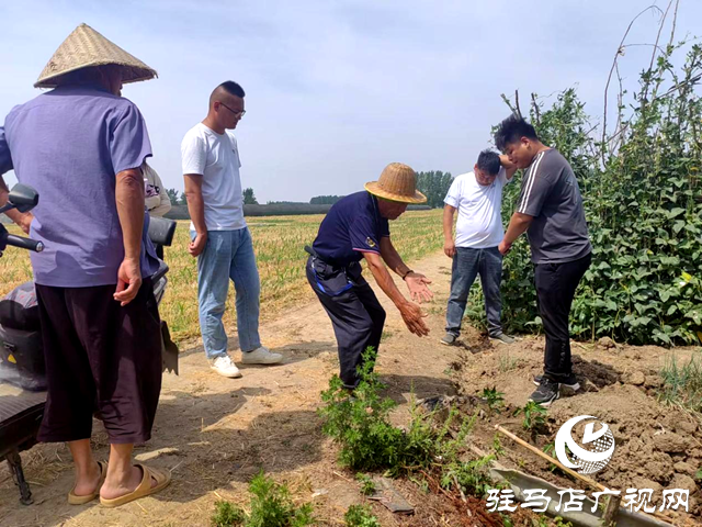 平舆县司法局：耕地占路引纠纷 田间调解促和谐