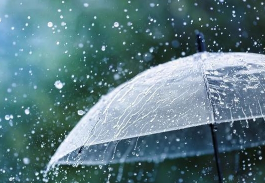 大到暴雨+雷暴大风！河南多地有雨，驻马店......