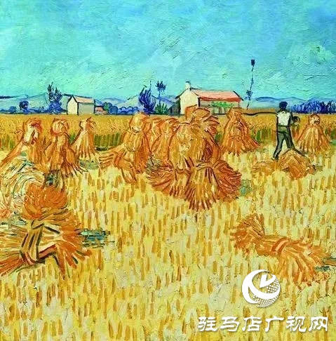 朗诵《麦子和我》