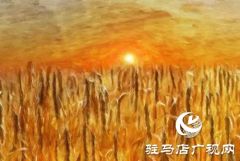 朗诵《麦子和我》