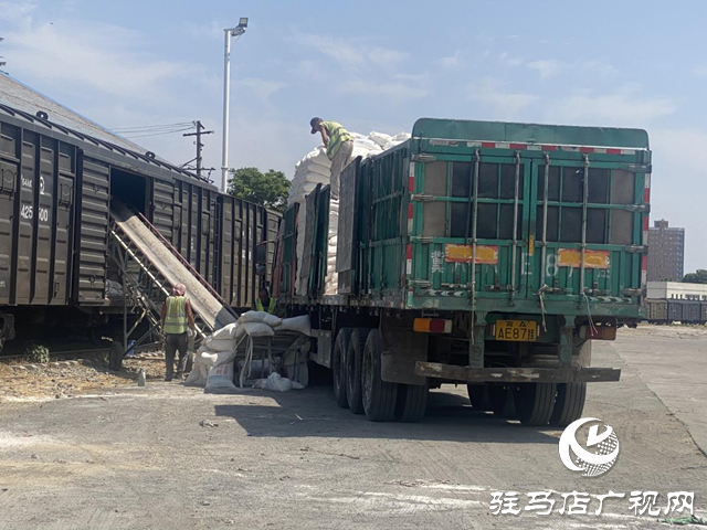 驻马店市夏粮收购平稳有序