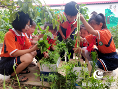 劳动实践收获丰 爱心义卖传真情