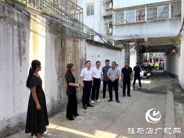 平舆县组织开展2024年人大代表建议现场督办活动