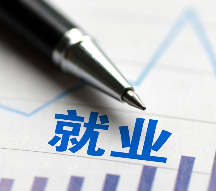新蔡县顿岗乡：多举措服务企业招工 全方位促进群众就业