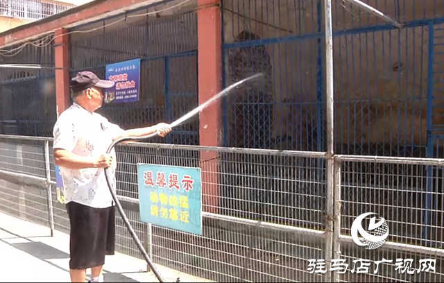 驻马店市南海动物园全力呵护动物舒适度夏