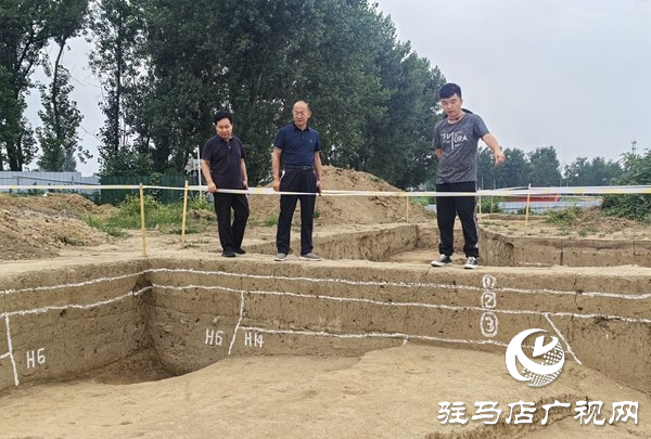 西平县文化广电和旅游局到丁寨遗址检查文物发掘工地安全生产工作