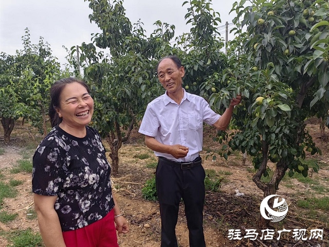泌阳县马谷田镇河南村：强化党建引领 推进乡村振兴