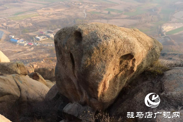 探秘泌阳盆景黑石山：大自然的鬼斧神工