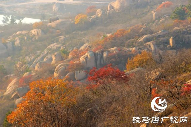 探秘泌阳盆景黑石山：大自然的鬼斧神工