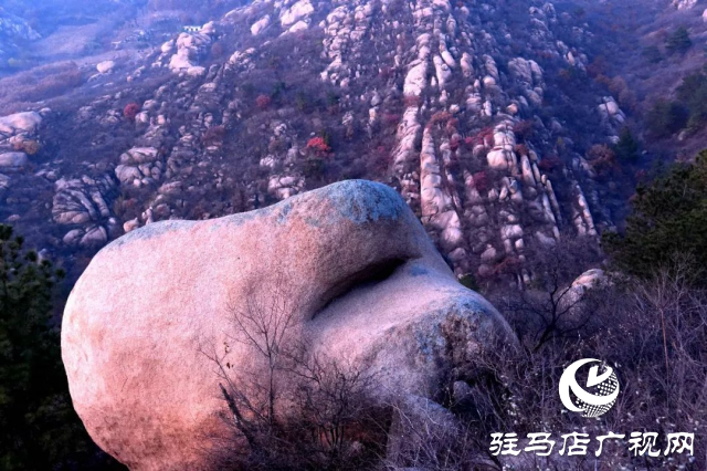 探秘泌阳盆景黑石山：大自然的鬼斧神工
