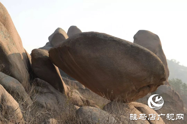 探秘泌阳盆景黑石山：大自然的鬼斧神工