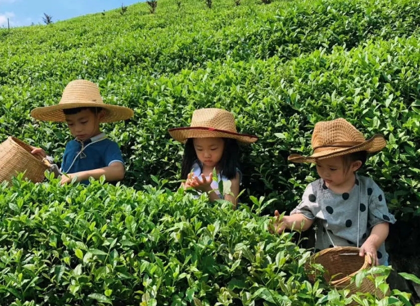 暑期临近 亲子游 研学游热度攀升