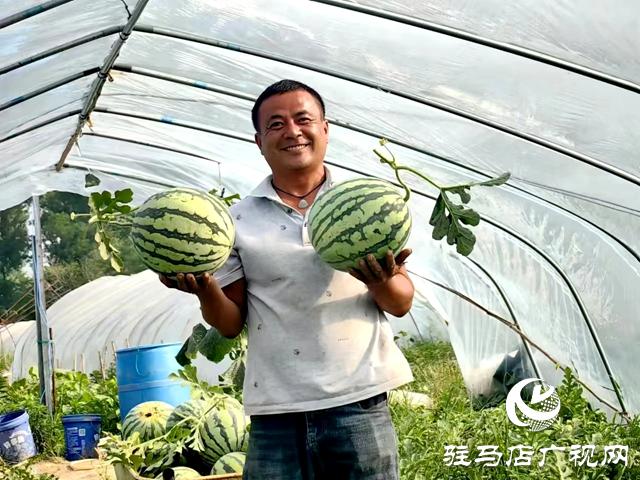 新蔡：甜蜜“果篮子”鼓起村民“钱袋子”