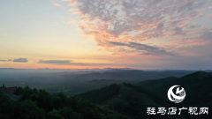 【家在天中·夏韵】盘岚朝起添秀色 美丽泌阳盘古山