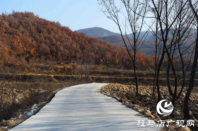 泌阳县贾楼龙潭沟：隐匿于山水之间的自然瑰宝