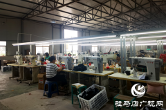 平舆县十字路乡：凝聚巾帼力量 助力“三园建设”