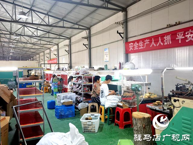 平舆县十字路乡：凝聚巾帼力量，助力“三园建设”