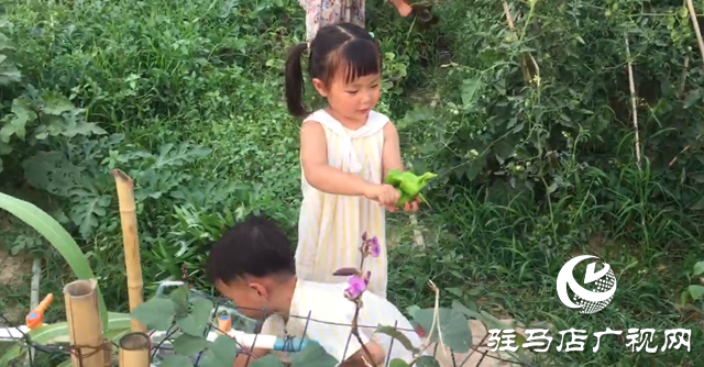 驿城区九合山庄共享农场：远离城市喧嚣 乐享田园生活