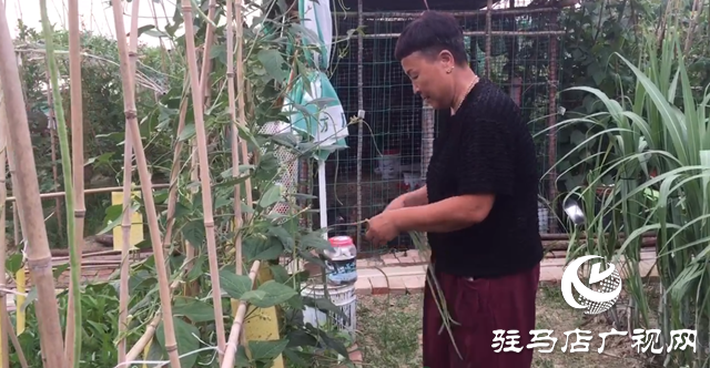 驿城区九合山庄共享农场：远离城市喧嚣 乐享田园生活