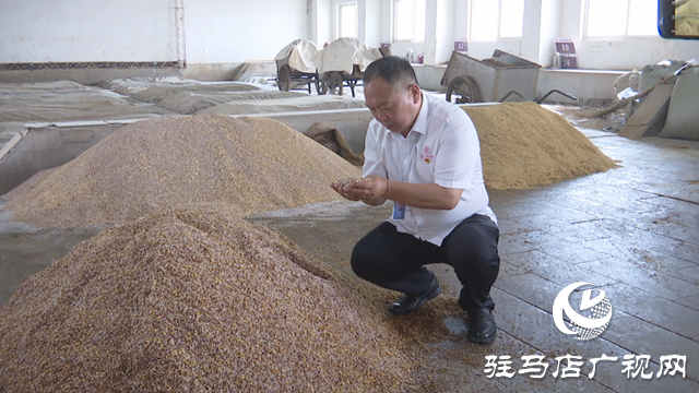 【致敬劳动者】刘洪亮：匠心独具酿琼浆