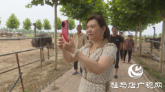 上蔡县小岳寺乡郭七村：以党建促产业 为乡村振兴注入新动力