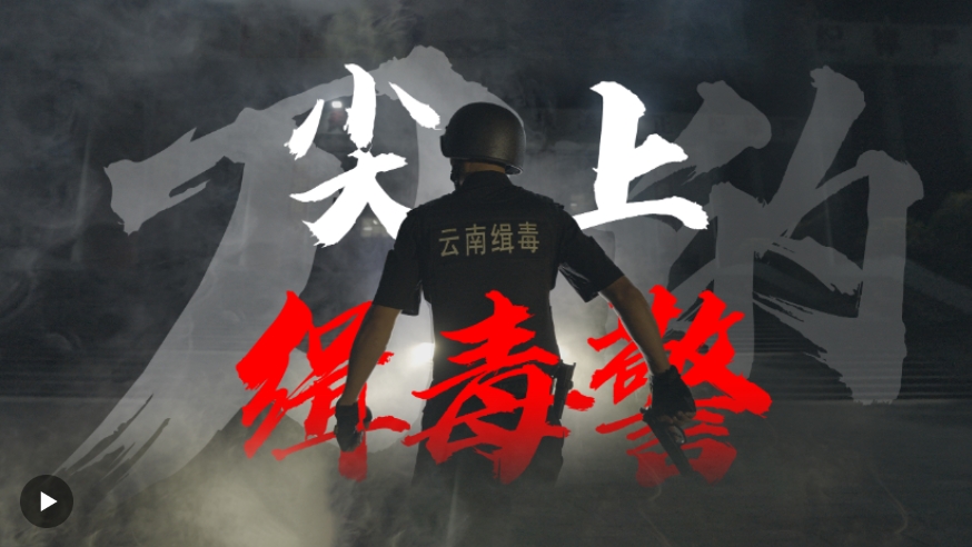 这不是警匪片，这是他们的真实经历！