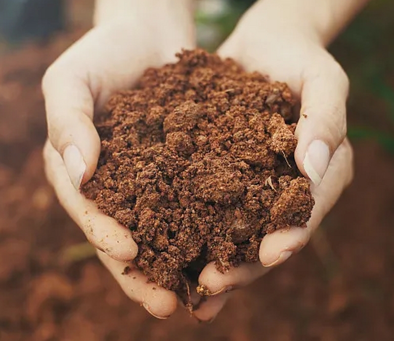 驿城区水屯镇开展“全国土地日”主题宣传活动