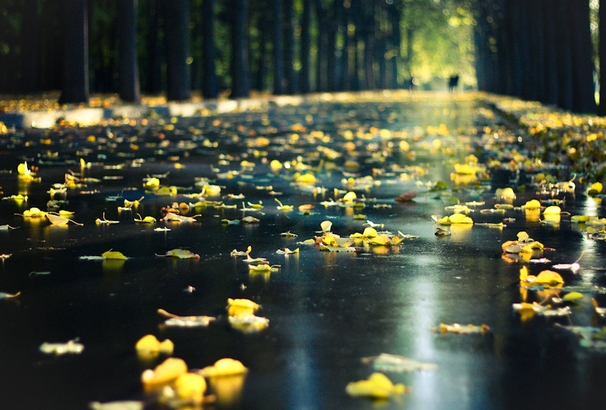 暴雨、大暴雨！驻马店接下来的天气......